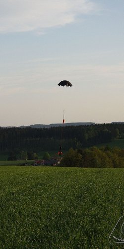 2012 Svojek mirek patek